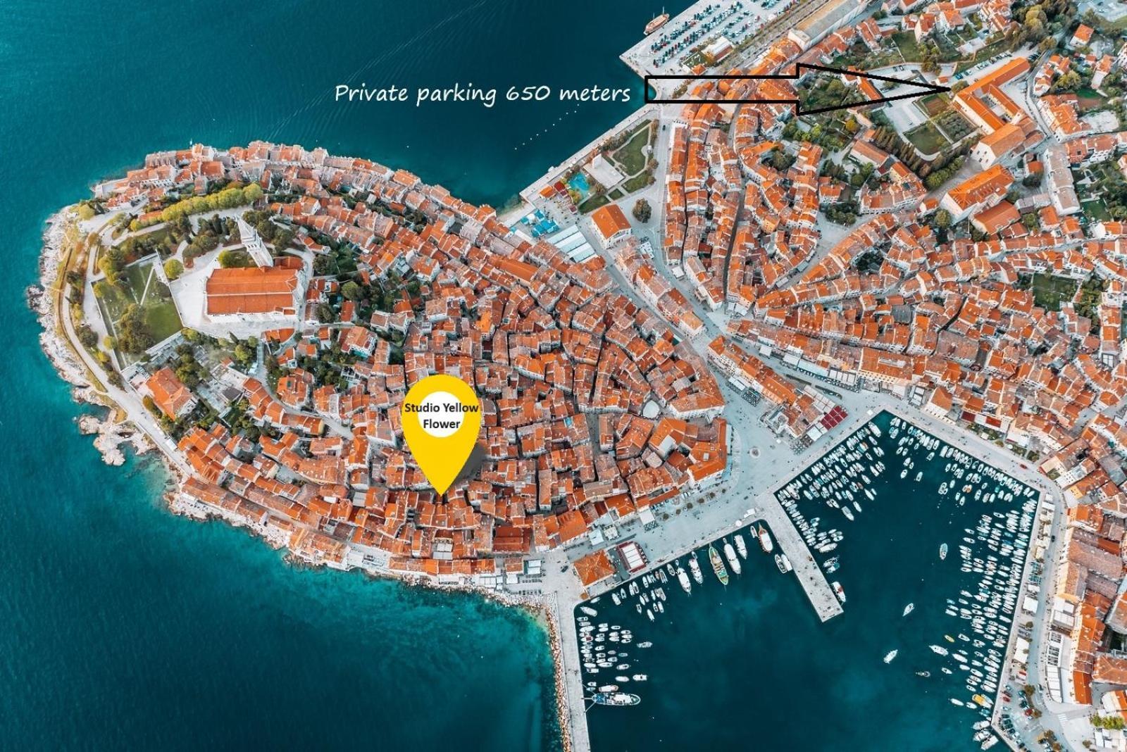 Studio Yellow Flower Rovinj Exterior foto