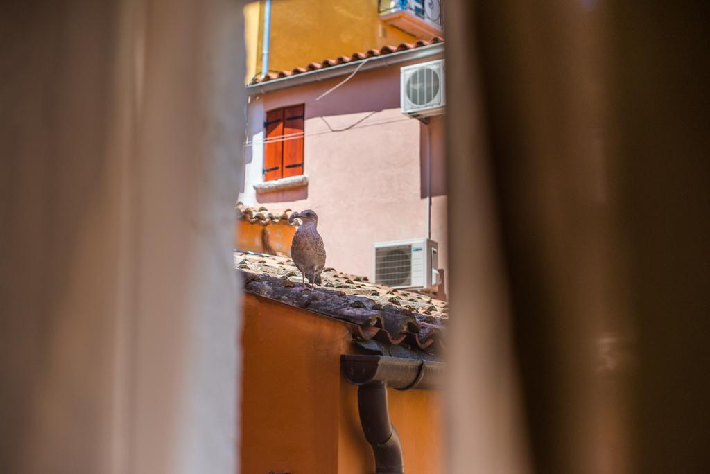 Studio Yellow Flower Rovinj Exterior foto