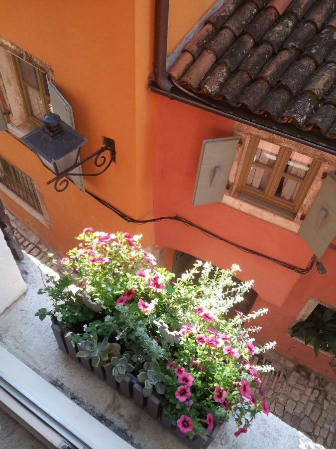 Studio Yellow Flower Rovinj Exterior foto